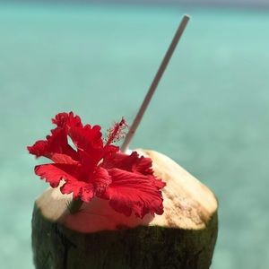 Meet your Posher, Christi